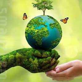 Environmental Impact